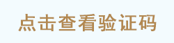 点击查看验证码